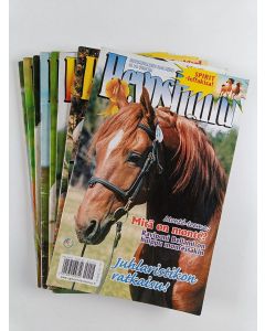 käytetty teos Hevoshullu 18-25/2002