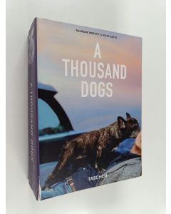 Kirjailijan Raymond Merritt käytetty kirja A thousand dogs