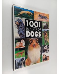Kirjailijan Rh Value Publishing & Outlet Book Company Staff ym. käytetty kirja 1,001 Images of Dogs - A Visual Encyclopedia