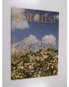 käytetty teos Kotiliesi 12/1964 (Kesäkuu 2)