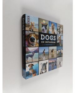Kirjailijan @dogsofinstagram käytetty kirja Dogs on Instagram