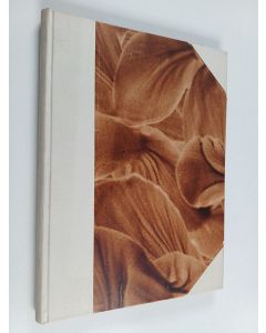 käytetty kirja Kirjailijain ja taiteilijain joulukirja 1917