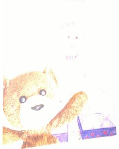 Kirjailijan Anne Kotokorpi käytetty teos Teddy : Tredje berättelsen (ERINOMAINEN)