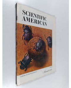 käytetty teos Scientific american november 1979