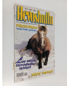 käytetty teos Hevoshullu 1/1995