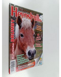 käytetty teos Hevoshullu 8/2013