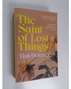 Kirjailijan Tish Delaney käytetty kirja The Saint of Lost Things - A Guardian Summer Read