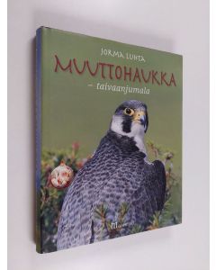 Kirjailijan Jorma Luhta käytetty kirja Muuttohaukka : taivaanjumala