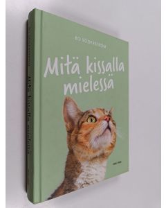Kirjailijan Bo Söderström käytetty kirja Mitä kissalla mielessä