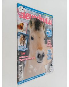 käytetty teos Hevoshullu 4/2017