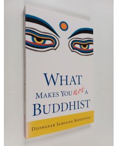 Kirjailijan Jamyang Khyentse käytetty kirja What makes you not a Buddhist