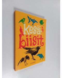 käytetty kirja Kesäbiisit