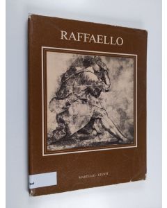 käytetty kirja Raffaello