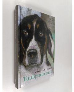Kirjailijan Marja Luukkonen käytetty kirja Tuulipuun maa