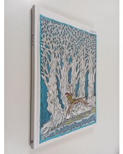 Kirjailijan Anne Streng käytetty kirja Kivet