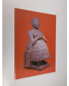 käytetty kirja Kaksoisvirranmaan taidetta : Amos Andersonin taidemuseo 198-13111977