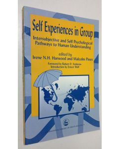 Kirjailijan Irene N. H. Harwood käytetty kirja Self Experiences in Group : intersubjective and self psychological pathways to human understanding (ERINOMAINEN)