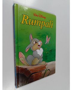 Tekijän Päivi Lankinen  käytetty kirja Rumpali