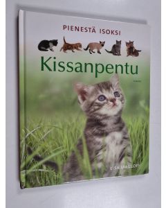 Kirjailijan Lisa Magloff käytetty kirja Pienestä isoksi : kissanpentu
