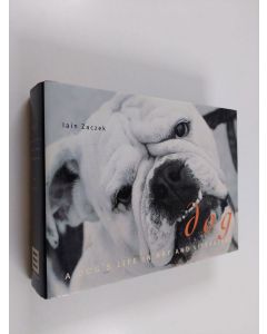 Kirjailijan Iain Zaczek käytetty kirja Dog - A Dog's Life in Art and Literature