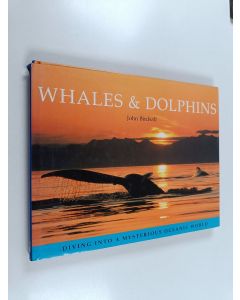 Kirjailijan John Birdsall käytetty kirja Whales & dolphins : Whales and dolphins