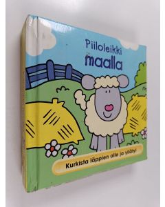 Kirjailijan David Crossley käytetty kirja Piiloleikki maalla