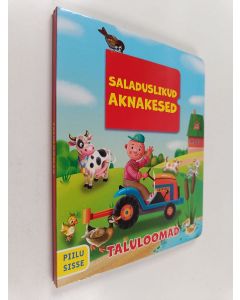 käytetty kirja Saladuslikud aknakesed
