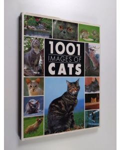 Kirjailijan Philippe Coppé käytetty kirja 1001 Images of Cats