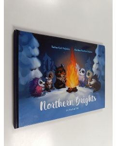Kirjailijan Kati Heljakka käytetty kirja Northern brights : iltasatu