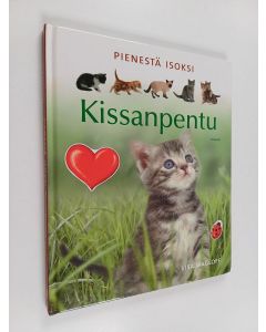 Kirjailijan Lisa Magloff käytetty kirja Pienestä isoksi : kissanpentu