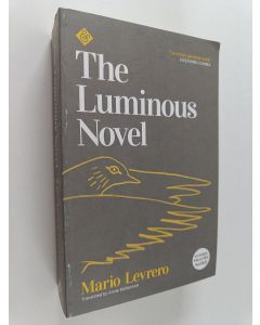 uusi kirja The Luminous Novel