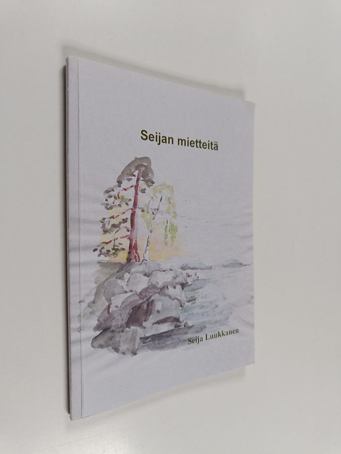 Seijan mietteitä