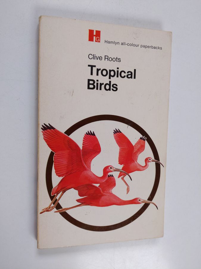 Tropical Birds