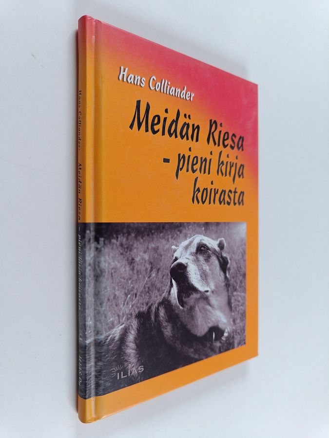 Meidän Riesa