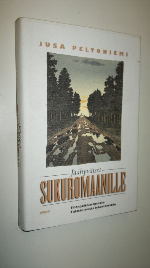 Jäähyväiset sukuromaanille