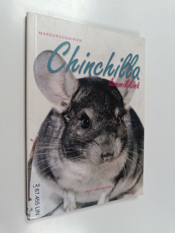 Chinchilla lemmikkinä