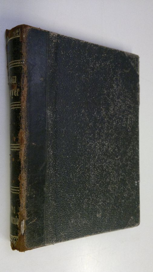 Mark Twain : Tom Sawyer : koulupojan historia