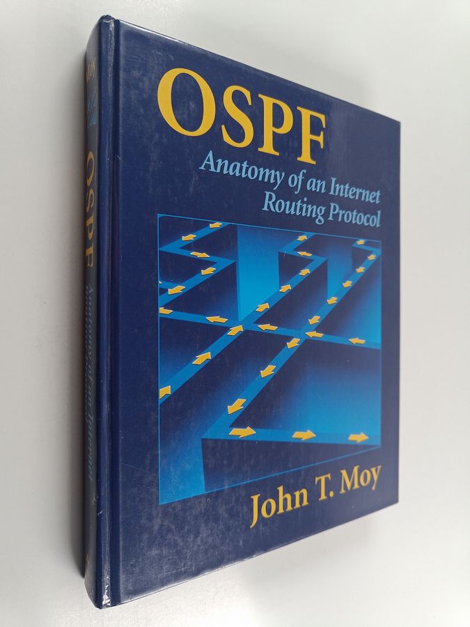 anatomy of an Internet routing protocol