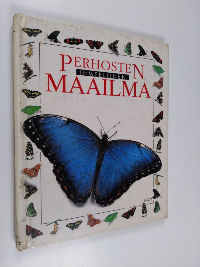 John Still : Perhosten ihmeellinen maailma