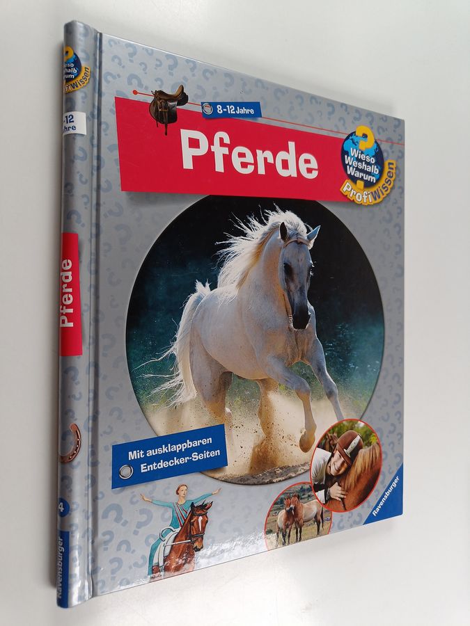 Andrea Schwendemann : Pferde
