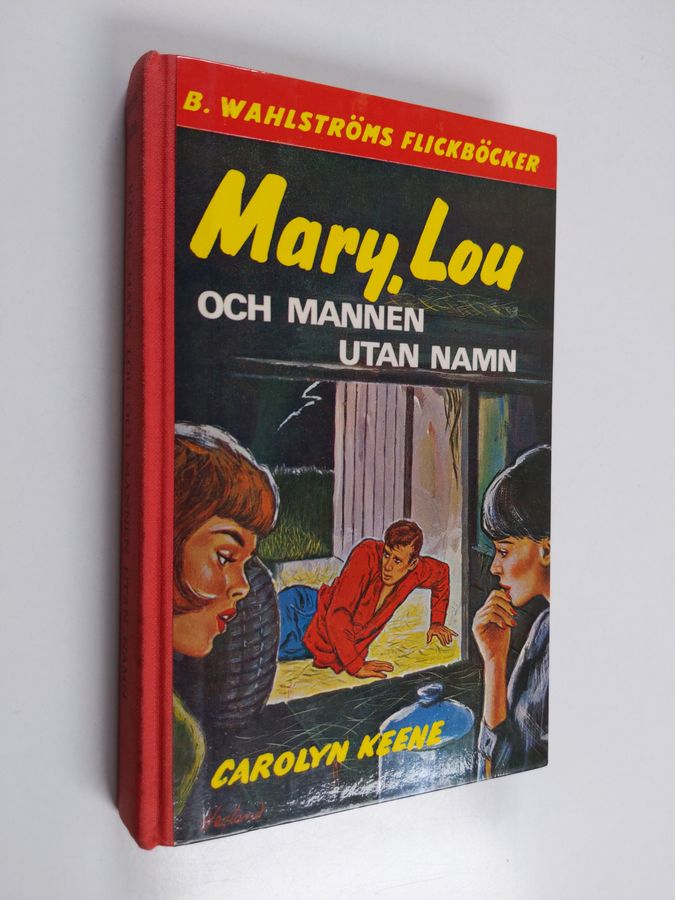 Mary, Lou och mannen utan namn