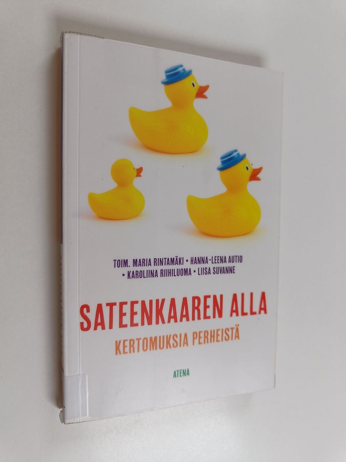 Sateenkaaren alla