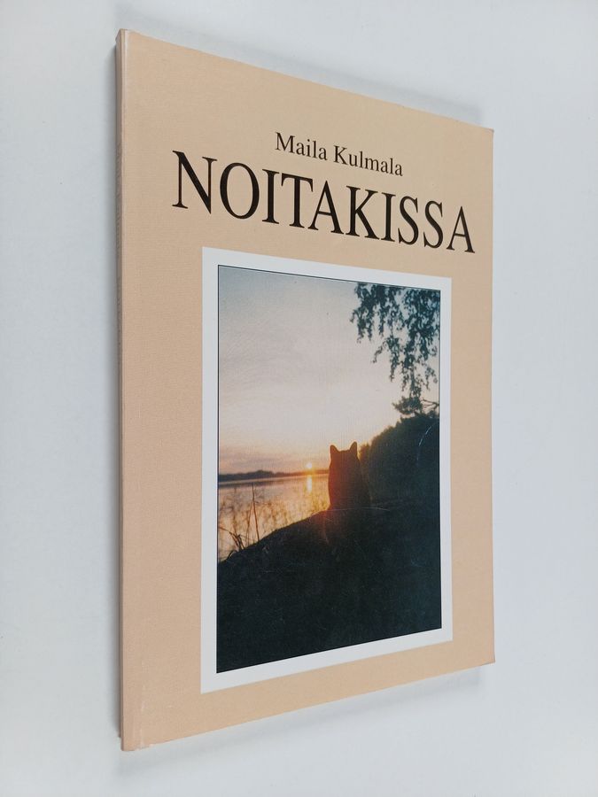 Noitakissa