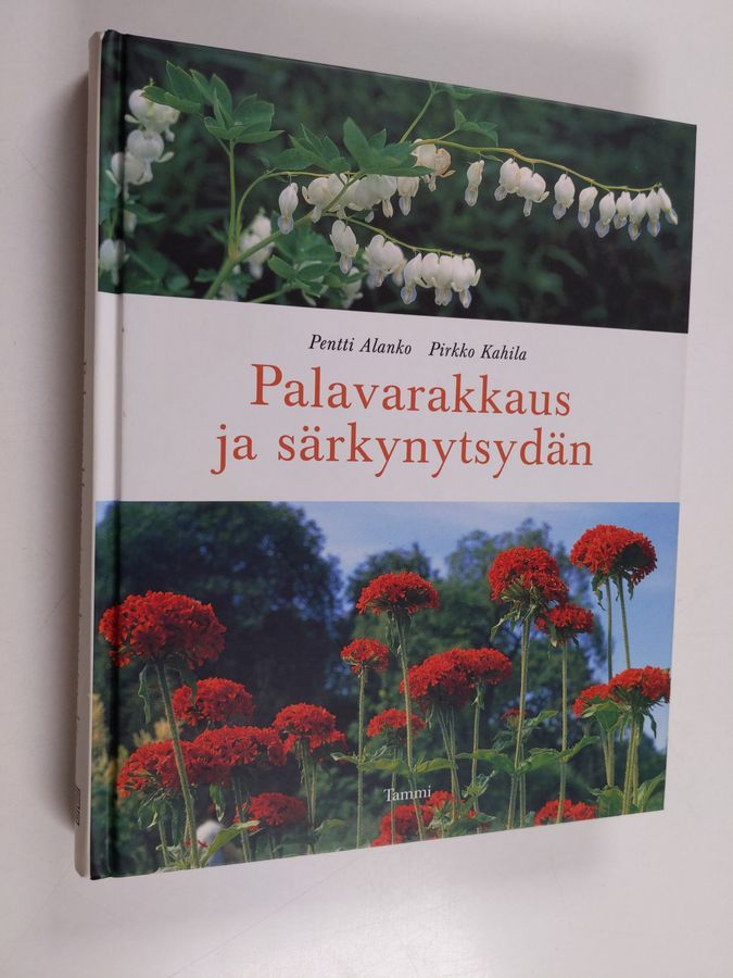 Palavarakkaus ja särkynytsydän