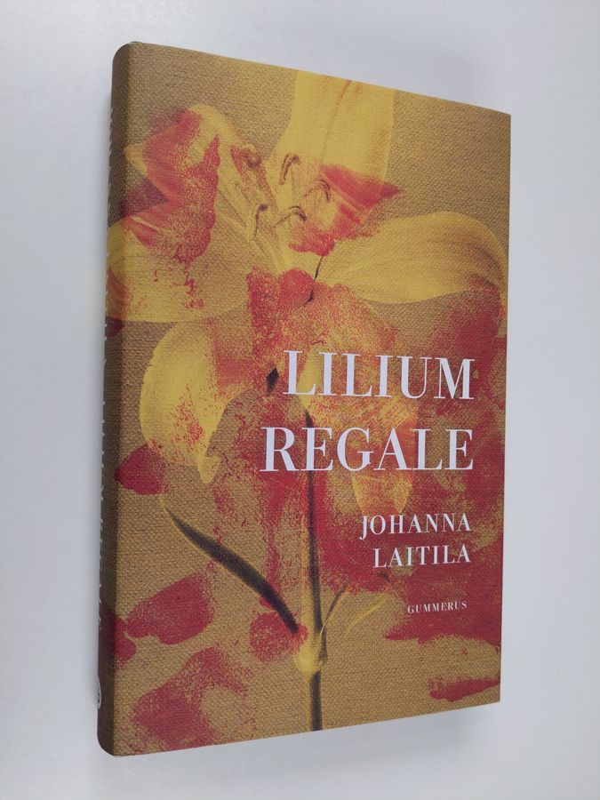 Lilium regale