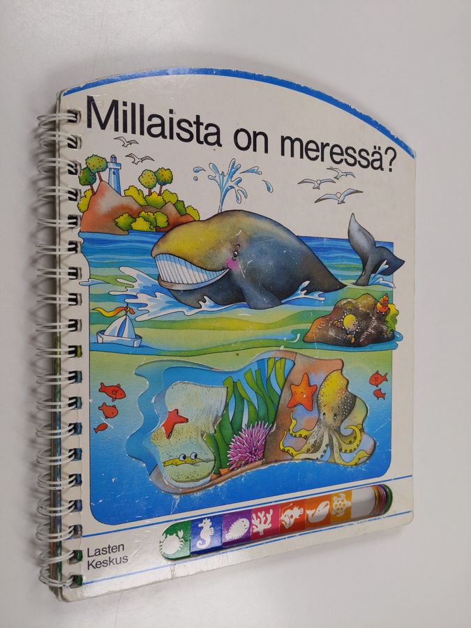 Millaista on meressä?