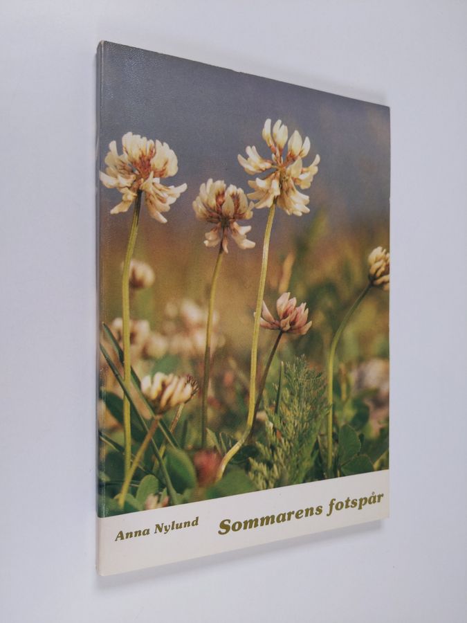 Sommarens fotspår