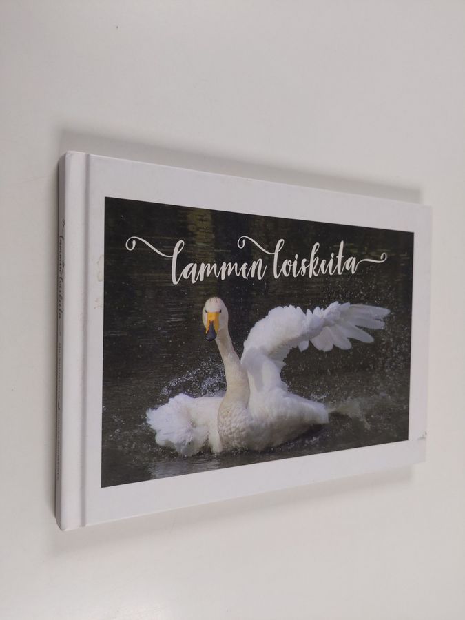 Lammen loiskeita.