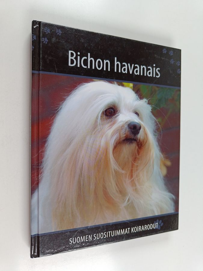 Bichon havanais