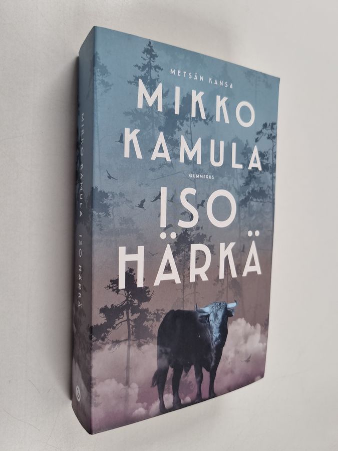 Iso härkä.